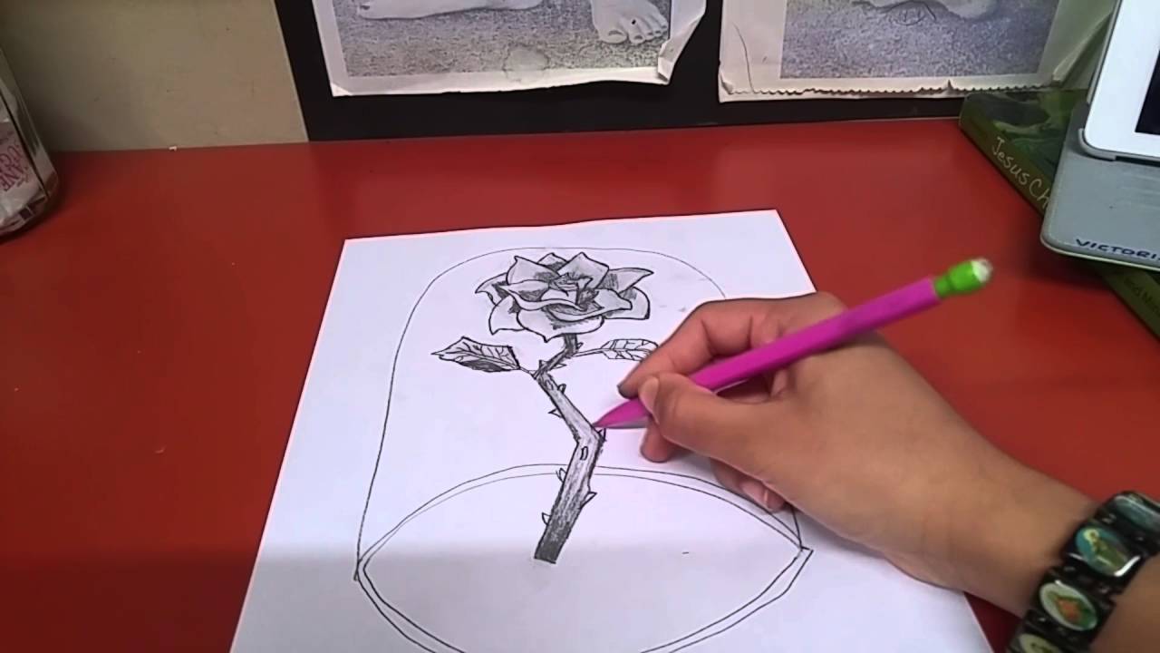 1280x720 drawing beauty and the beast flower - Rose From Beauty And The Beast Drawing