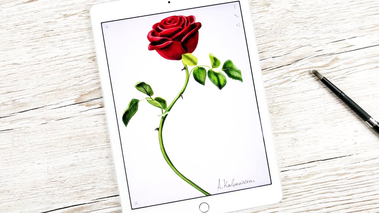 1280x720 how to draw the rose from beauty and the beast movie ipad - Rose From Beauty And The Beast Drawing