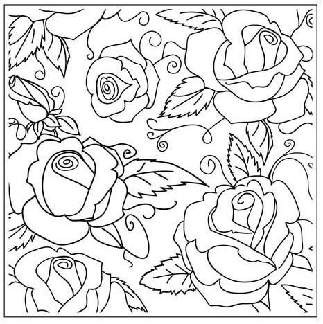 466x468 Rose Garden Embossing Folder - Rose Garden Drawing