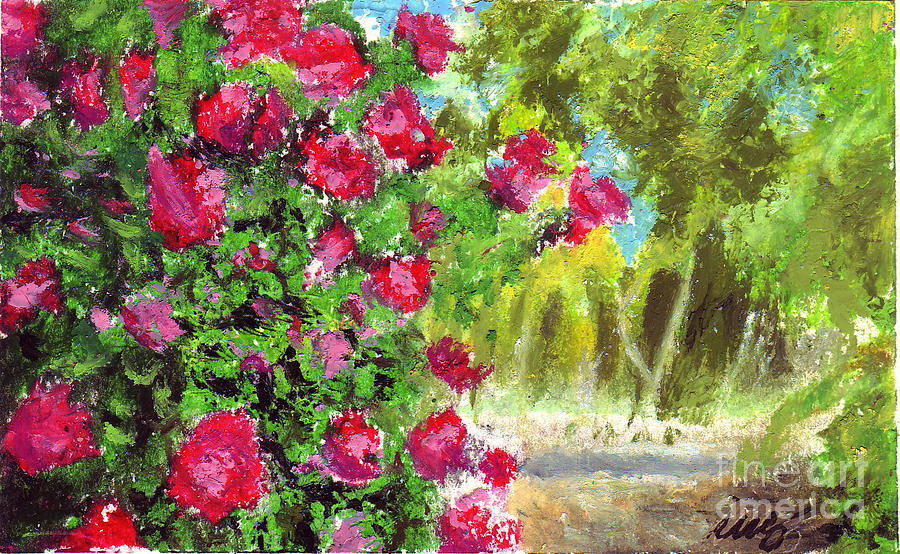 900x554 Rose Garden Drawing - Rose Garden Drawing