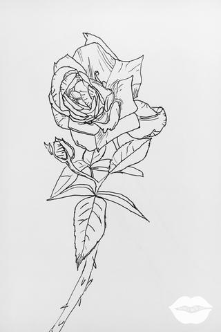 320x480 Rose Gardens Prints With Luv - Rose Garden Drawing