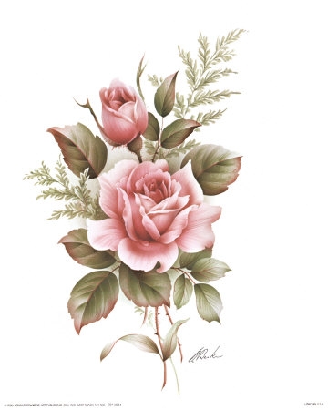 360x450 rose pencil drawings, rose drawings, drawing of a rose - Rose Garden Drawing