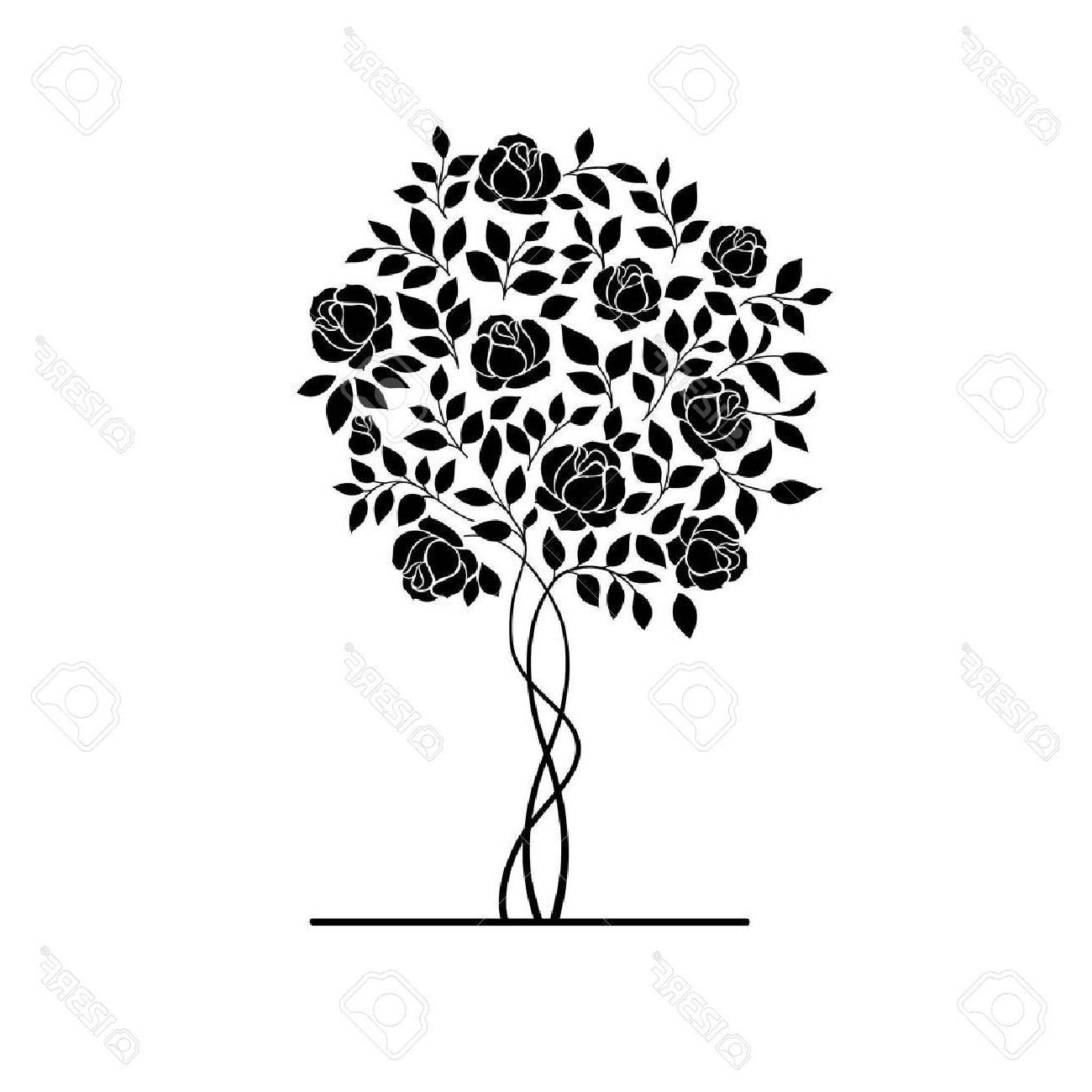 1300x1300 Best Free Rose Garden Bush Isolated Over White Background Vector - Rose Garden Drawing