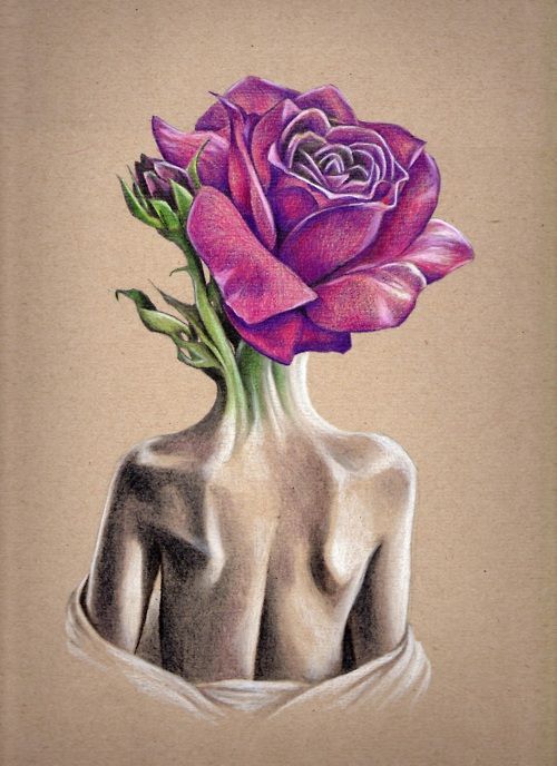 500x688 Rose Girl Draw Art - Rose Girl Drawing