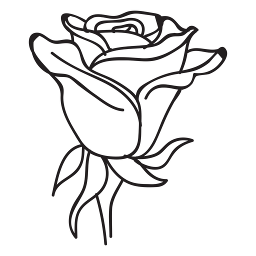 512x512 Blooming Rose Head Stroke Icon Flower - Rose Head Drawing