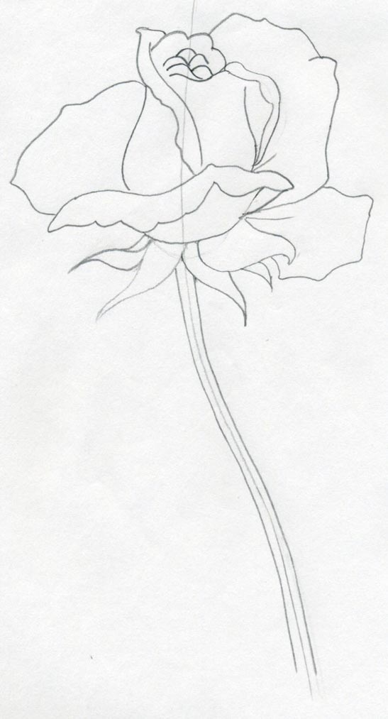 547x1013 Draw A Rose Quickly, Simply And Easily - Rose Head Drawing