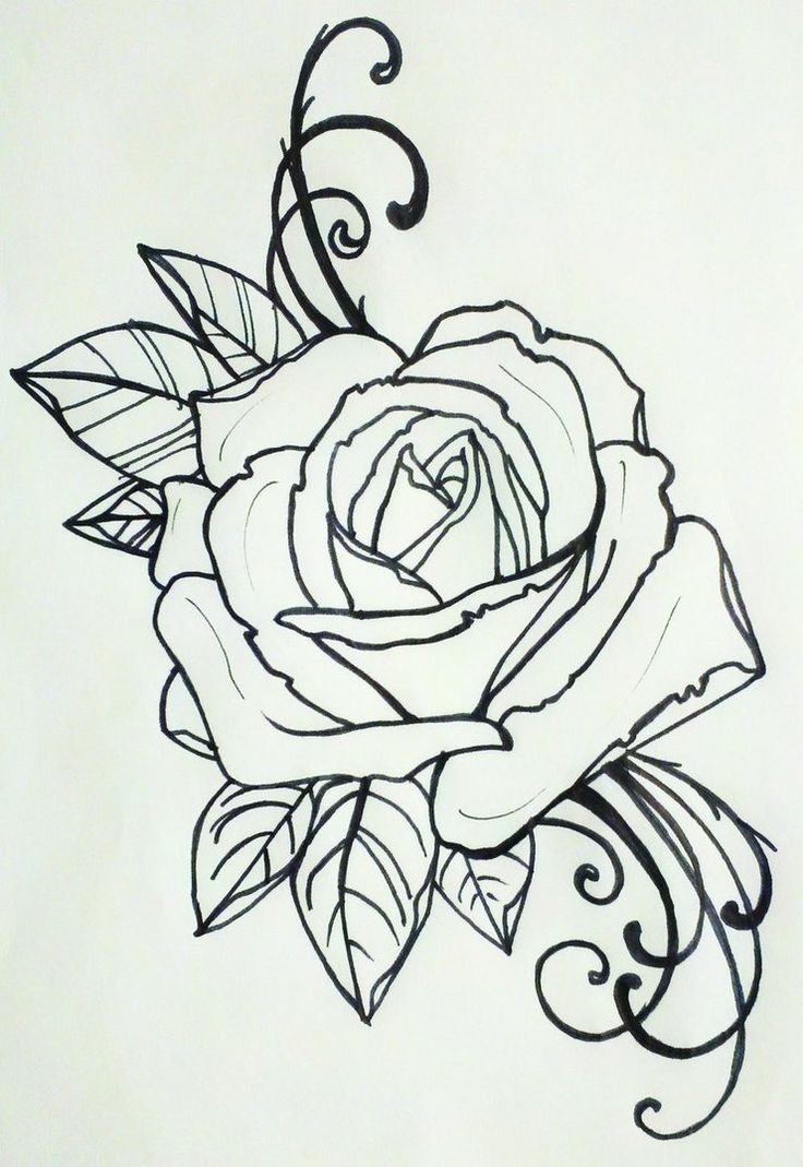 736x1069 Hoontoidly Rose Drawing Tattoo Images - Rose Head Drawing