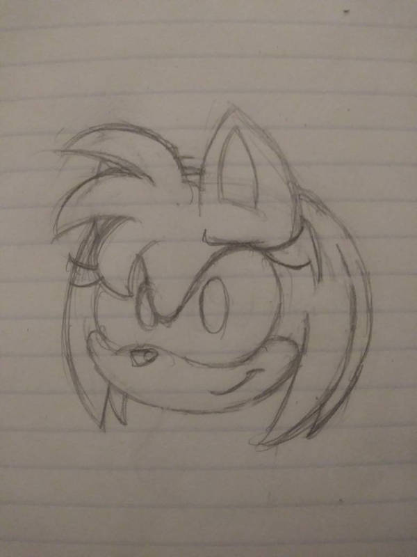 600x800 Amy Rose Head - Rose Head Drawing