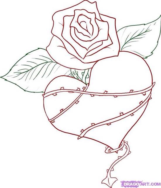 550x640 roseheart hobby drawings, love heart drawing, sketches - Rose Heart Drawing