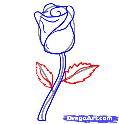 503x525 How To Draw A Rose, Step - Rose Leaf Drawing