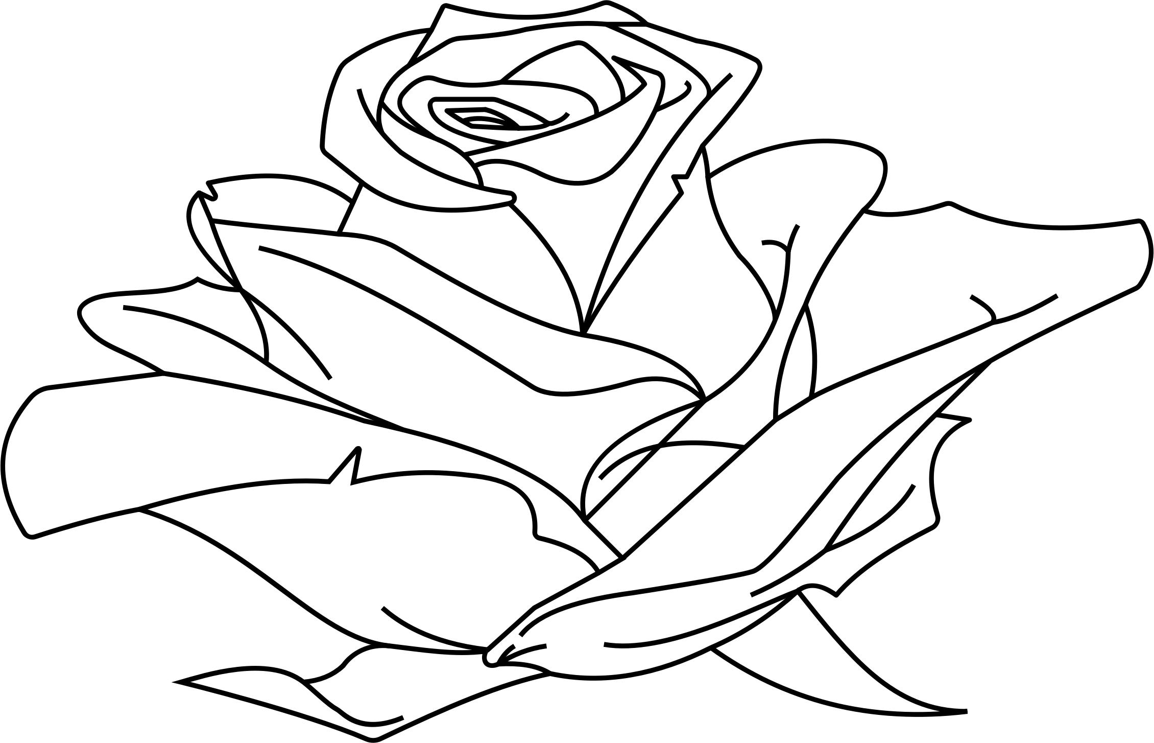 2260x1454 Rose Line Art Icons Png - Rose Line Drawing
