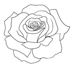 300x287 Rose Line Drawings - Rose Line Drawing
