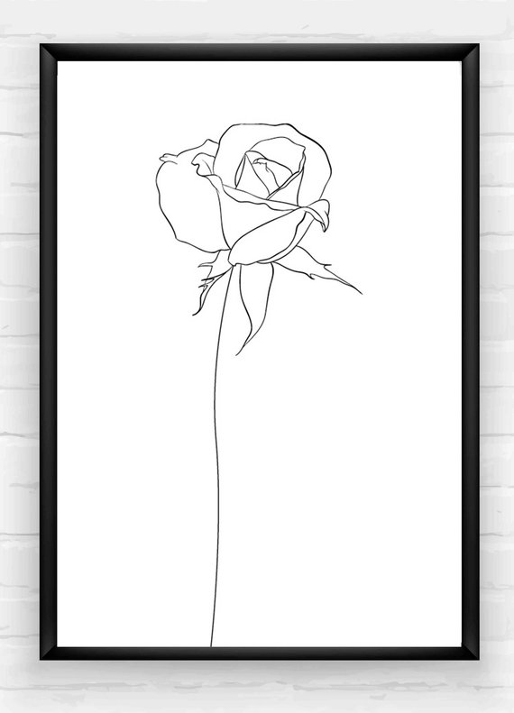 570x791 single rose line drawing print monochrome bedroom print etsy - Rose Line Drawing