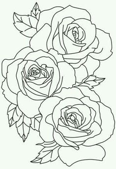 236x345 Line Drawing - Rose Line Drawing