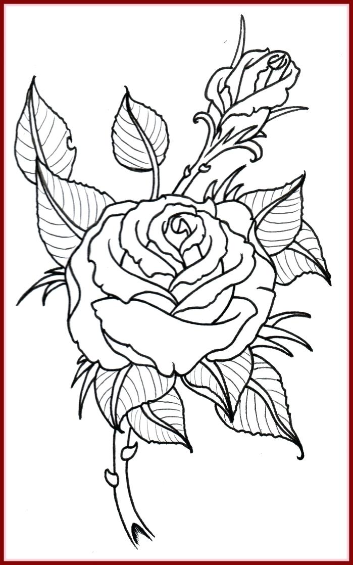 Rose Outline Drawing at PaintingValley.com | Explore collection of Rose ...