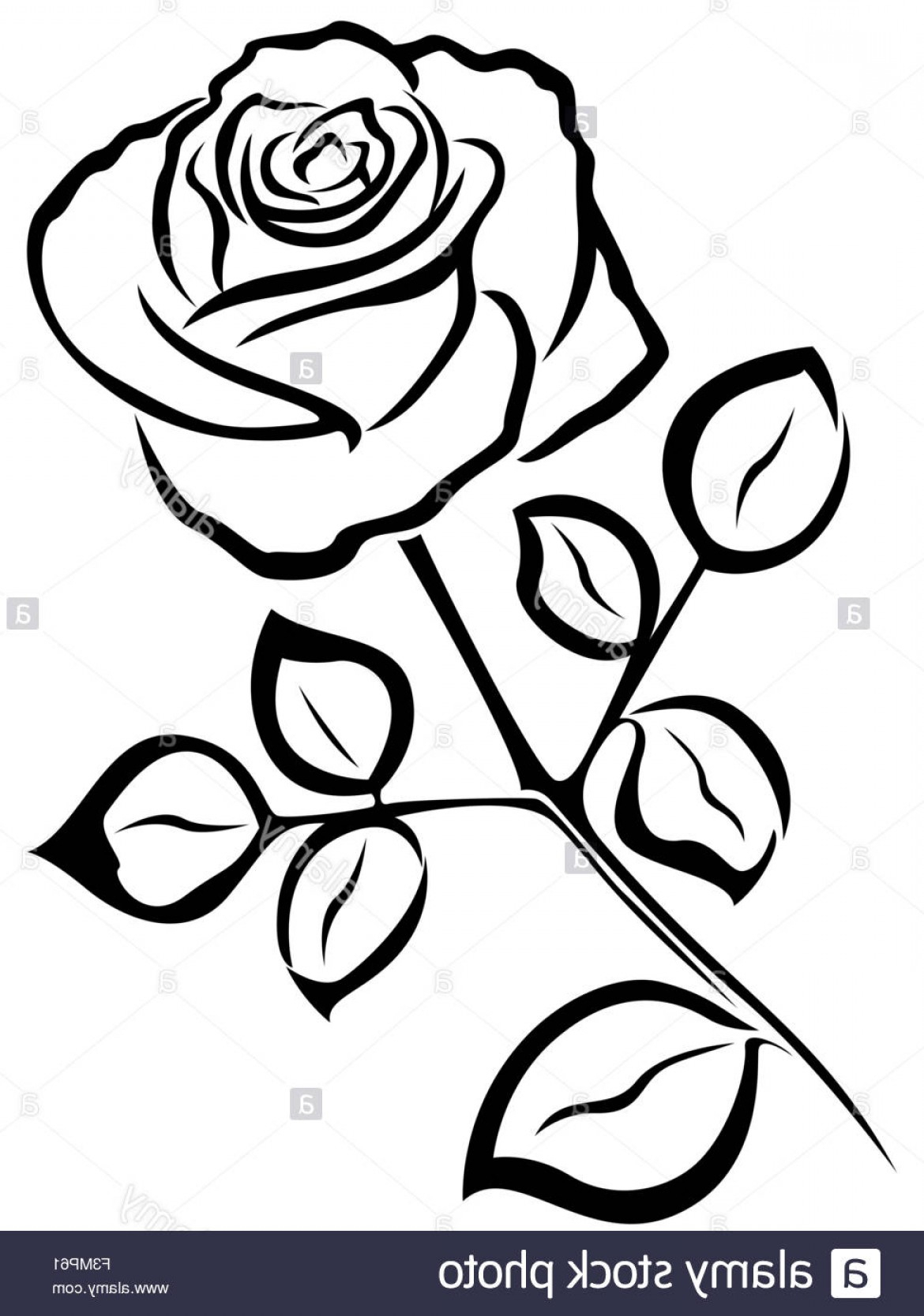 1170x1668 Huge Collection Of 'photo To Outline Drawing Free' Download More - Rose Outline Drawing