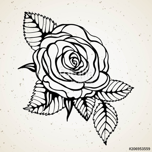 500x500 Isolated Rose Outline Drawing Stock Line Vector Illustration - Rose Outline Drawing