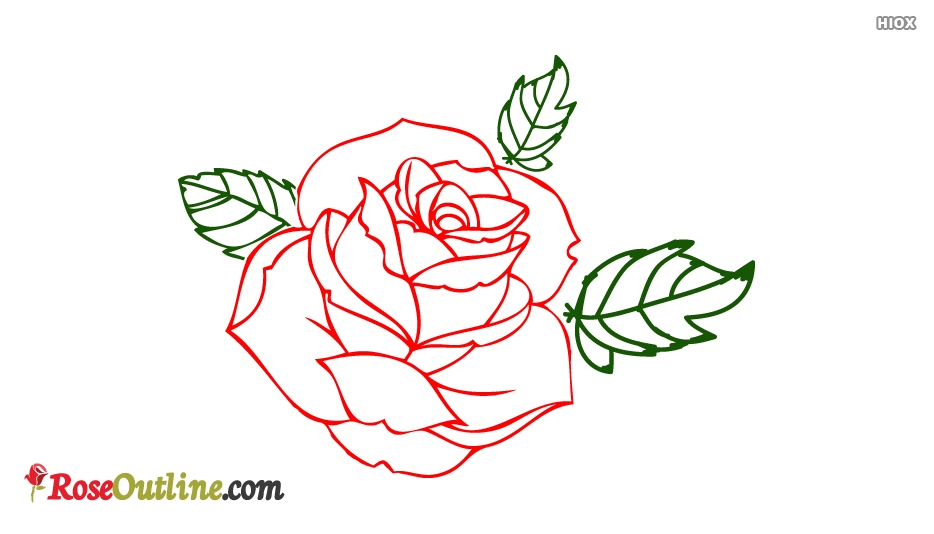 934x534 Beautiful And Simple Rose Outline Drawings - Rose Outline Drawing