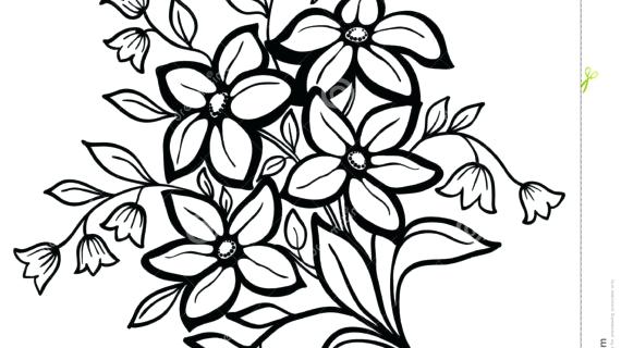570x320 rose flower outline drawing simple google single arrangement - Rose Outline Drawing
