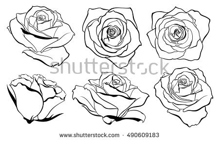 450x290 Rose Outline - Rose Outline Drawing