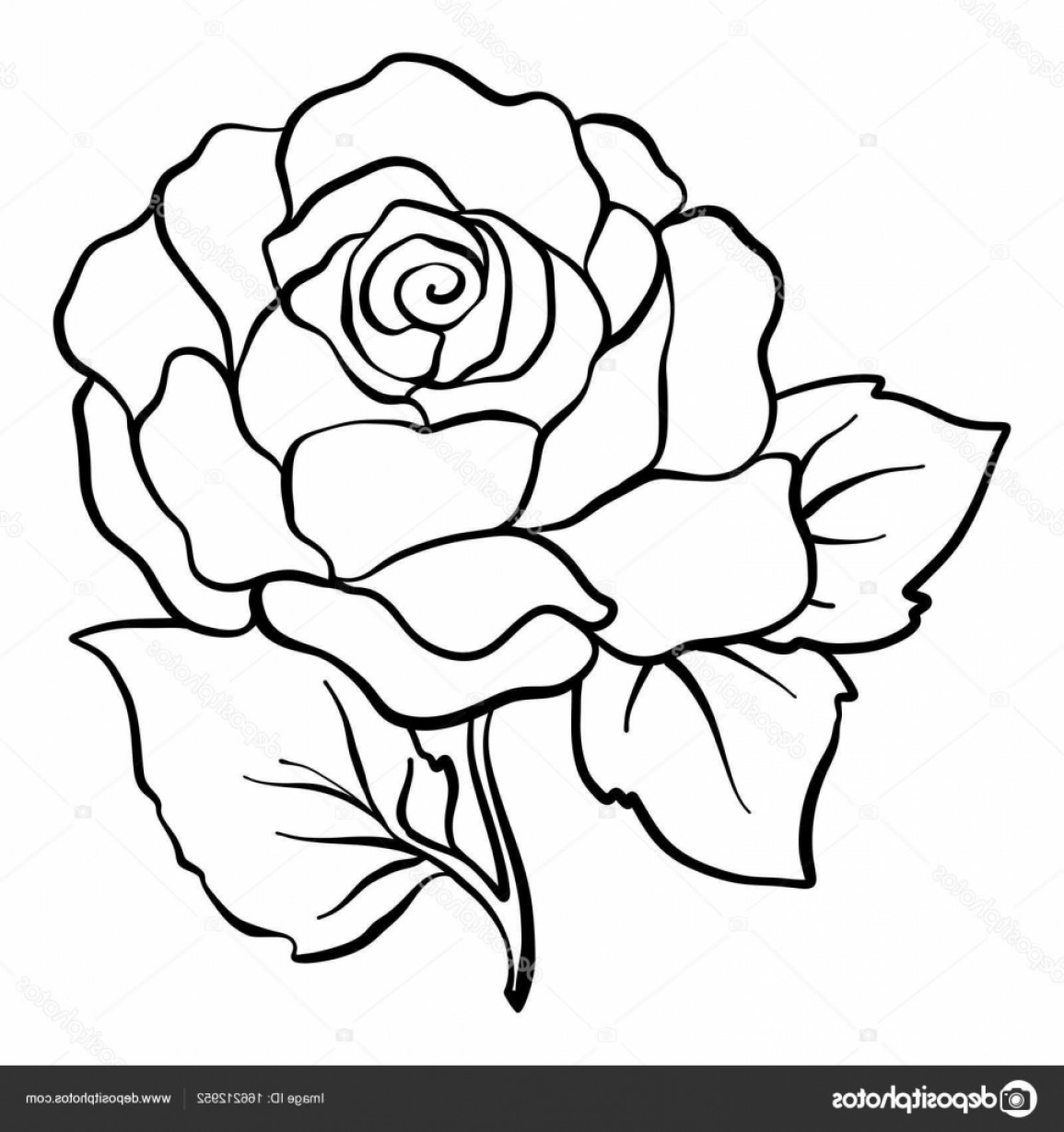 Rose Outline Drawing at PaintingValley.com | Explore collection of Rose ...