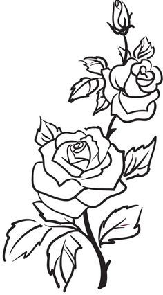 236x426 Simple Rose Outline Drawing - Rose Outline Drawing