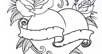 340x180 Best Rose Outline - Rose Outline Drawing