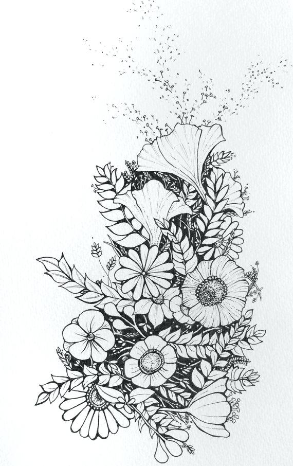 570x906 Chrysanthemum Drawing Free Download On Outline Chrysanthemum - Rose Outline Drawing