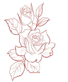 Rose Outline Drawing at PaintingValley.com | Explore collection of Rose