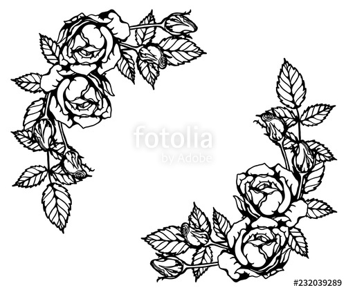 500x420 Rose Ornament Vector - Rose Pattern Drawing