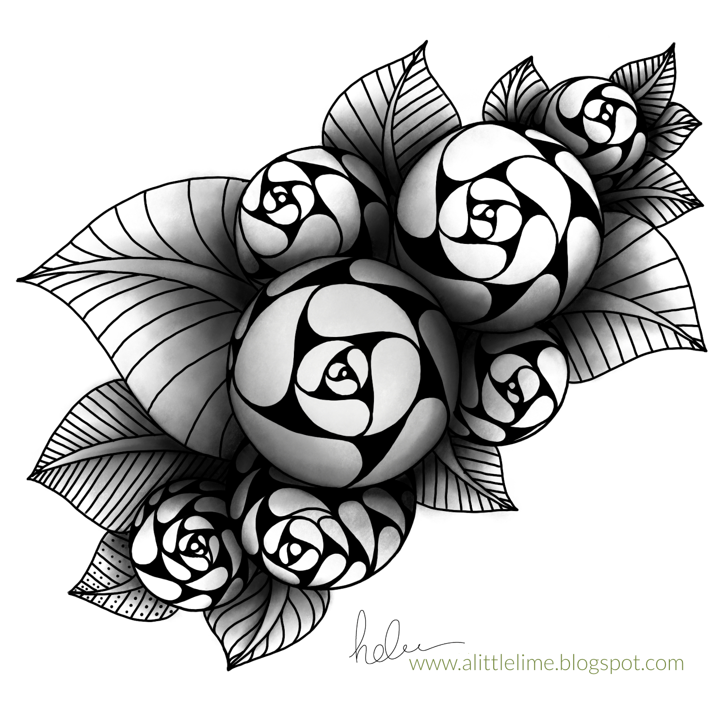 1501x1489 Spiral Rose - Rose Pattern Drawing