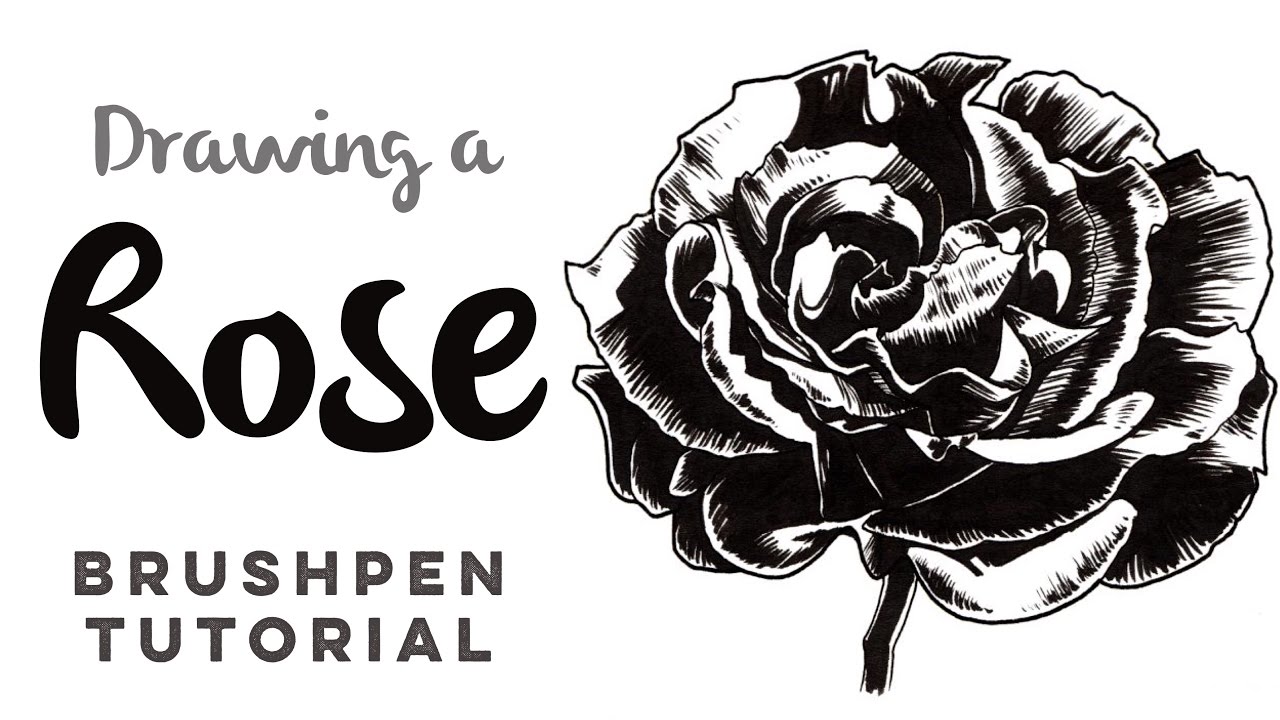 1280x720 How To Draw With A Brush Pen - Rose Pen Drawing
