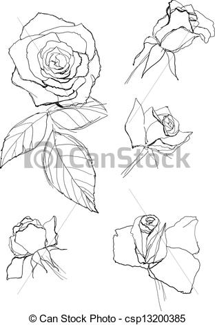 312x470 Pen Drawing Roses Collection - Rose Pen Drawing