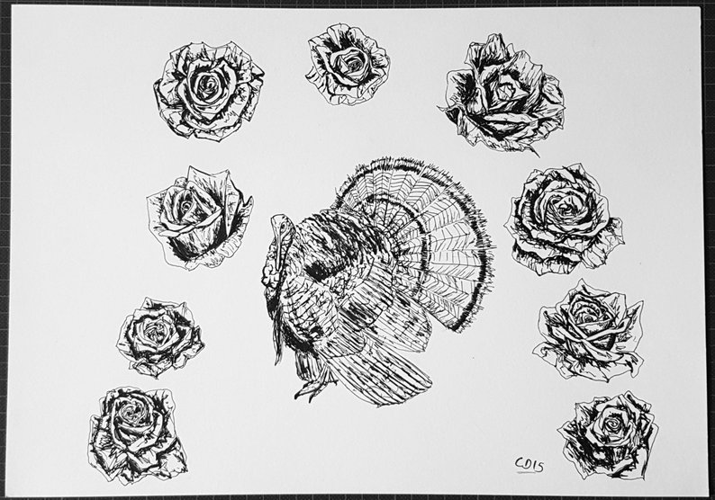 794x556 Pen Drawing Turkey And Roses Etsy - Rose Pen Drawing