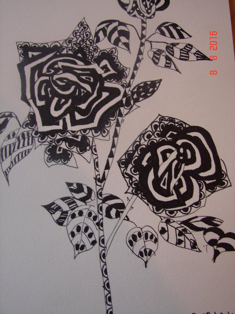 794x1059 Rose Zentangle Ink Pen Drawing Abstract Modern Art Original Etsy - Rose Pen Drawing