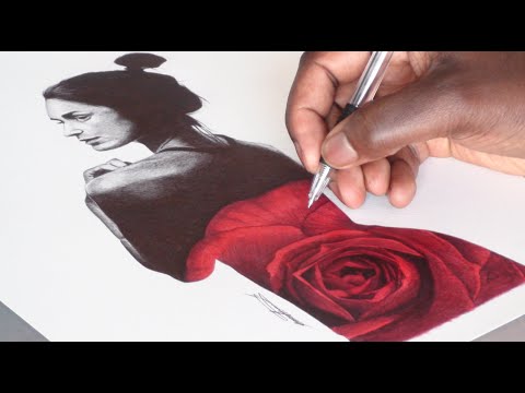 480x360 Yasmin Rose Pen Drawing - Rose Pen Drawing