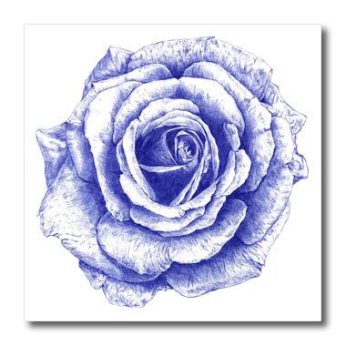 380x380 Ronn Kools - Rose Pen Drawing