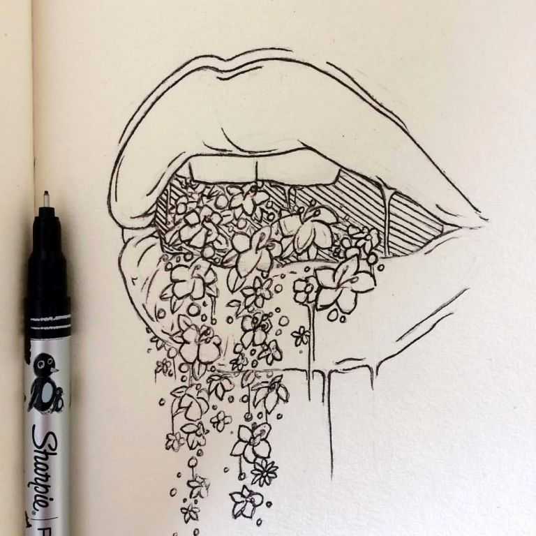 768x768 How To Make A Rose Drawing Step - Rose Pencil Drawing Step By Step