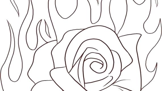 570x320 pictures of roses to draw gallery roses in drawing rose drawing - Rose Pencil Drawing Step By Step
