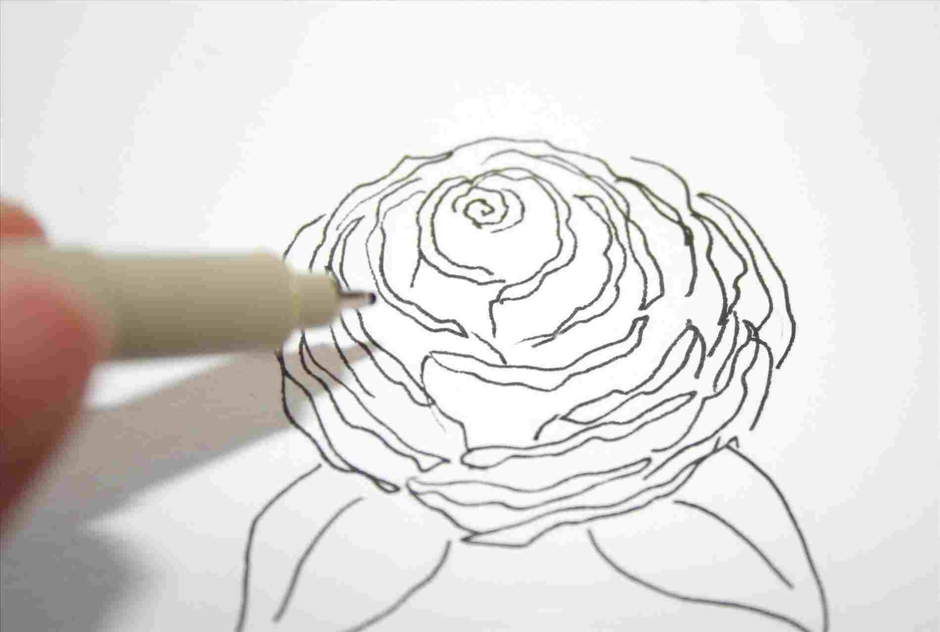 1900x1279  - Rose Pencil Drawing Step By Step
