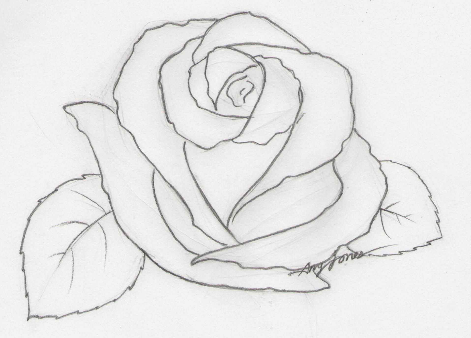 1916x1376 Pencil Drawings Rose Pencil - Rose Pencil Drawing Step By Step