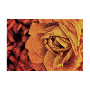 300x300 Fragrant Rose, Colorful Drawing With Delicate Rose Petals Drawing - Rose Petals Drawing