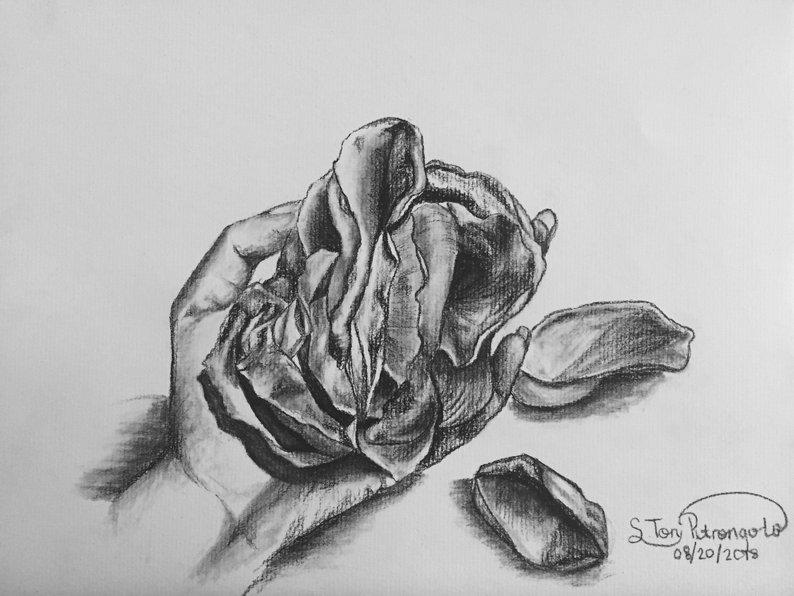 794x596 Rose Petals Charcoal Sketch Flowers Charcoal Sketch Rose Etsy - Rose Petals Drawing