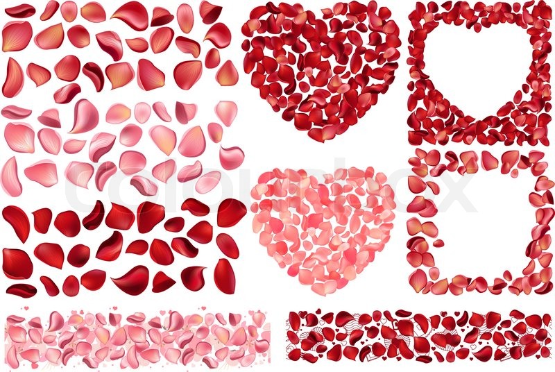 800x536 Big Collection Of Detailed Realistic Stock Vector Colourbox - Rose Petals Drawing