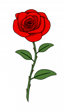 215x382 hd drawing rose transparent png clipart free download - Rose Picture Drawing