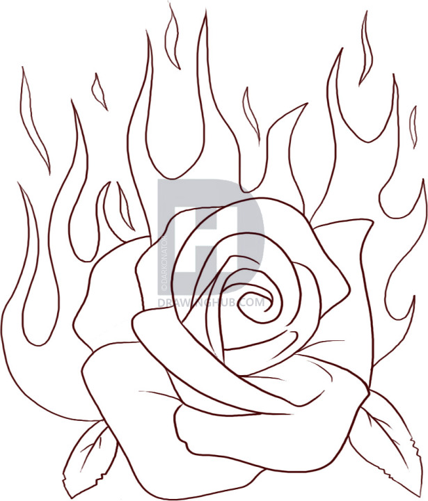 615x720 how to draw a flaming rose, step - Rose Picture Drawing