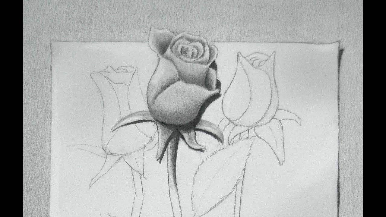 1280x720 How To Draw A Rose - Rose Picture Drawing