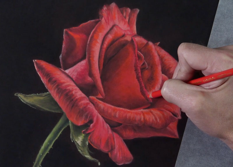 Rose Picture Drawing at PaintingValley.com | Explore collection of Rose ...