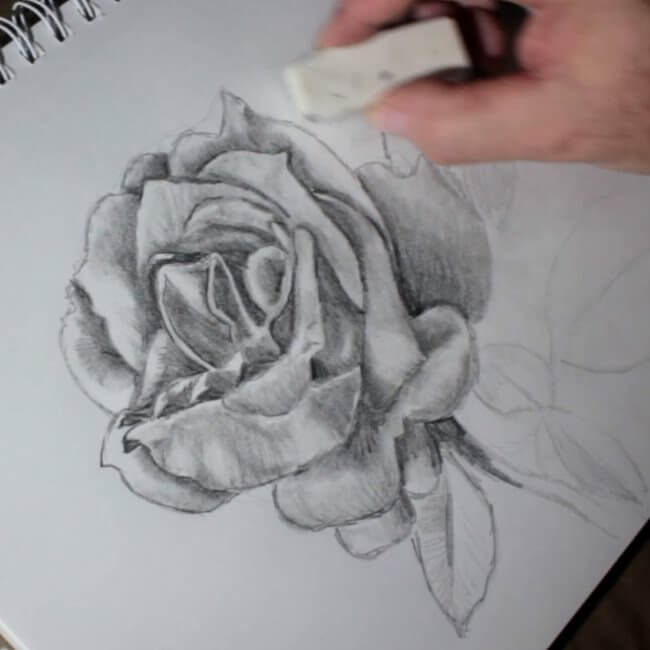 650x650 Rose Drawings Step - Rose Picture Drawing
