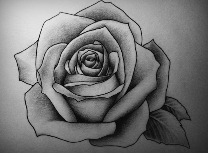 730x536 rose drawings art ideas design trends - Rose Picture Drawing